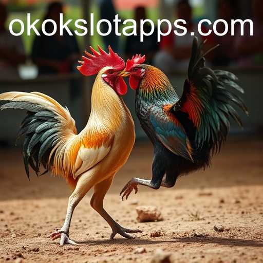 The Intriguing World of Sabong Games and Okokslot